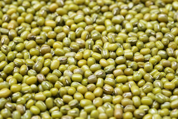 Fresh seed green beans background in Center focus.