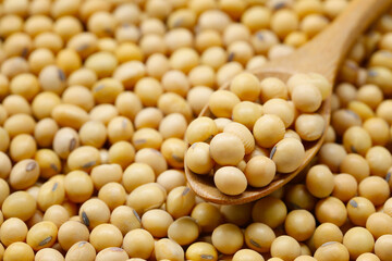 Fresh seed soybean in wooden spoon.