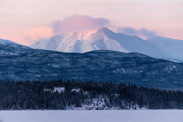 Beautiful mountain landscape in northern Canada, Yukon Territory with pink sunrise colors shining over the snow capped peaks with woods, forest in foreground. 