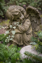 Obraz premium statue of an angel with a flower