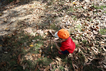 Asian boy is sitting in the garden.