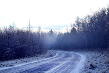 Fototapeta premium road in snow at the forest