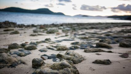 seashore at low tide