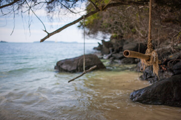 Fototapeta premium buffalo in the water
