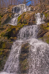Looking Up at A Mountain Cascade