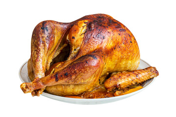 Roasted turkey on a plate isolated on white background