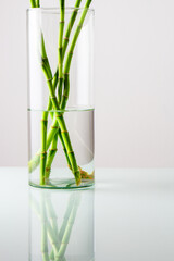 Tubo de vidro minimalista com raiz de bambu em retrato
