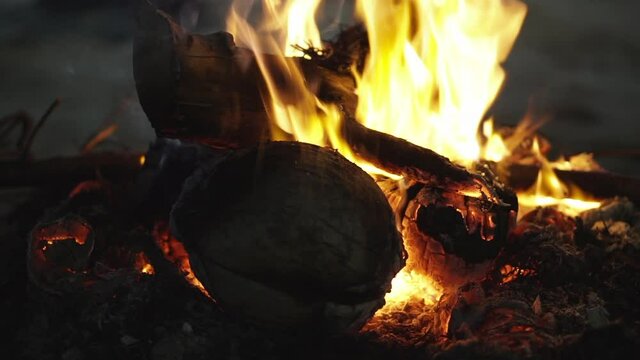 Fogata de madera y cocos