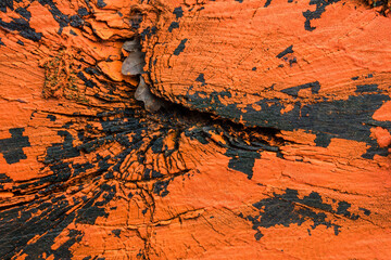 close up of a painted and weathered log