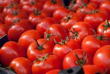 Raw fresh tomatoes at the market 2021