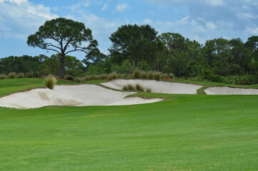  Sand Hazards at Edge of Fairway and Forest
