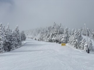 View to ski slopes with lot of fresh powder snow at Stowe Mountain resort VT in early December
