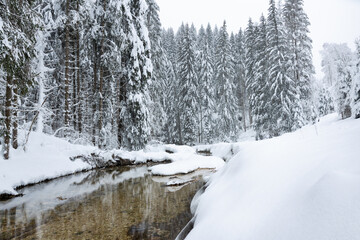 White landscape during winter season in Altopiano di Asiago Italy