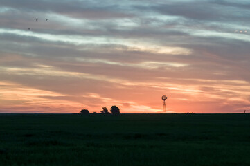Fototapeta na wymiar Windmill in countryside at sunset, Pampas, Patagonia,Argentina.