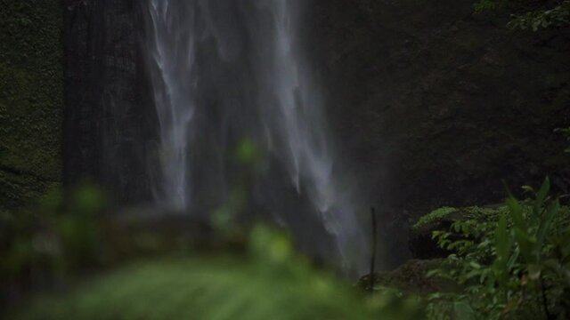 Plants And Air Terjun Kabut Pelangi Waterfall