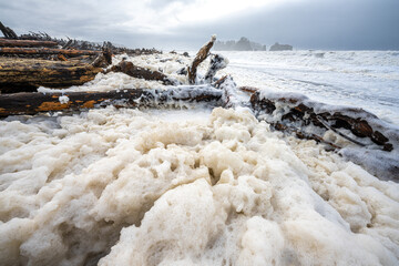 Rialto Beach on a Windy Day in December, WA