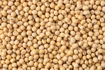 Close up soybeans background top view using for your advertising