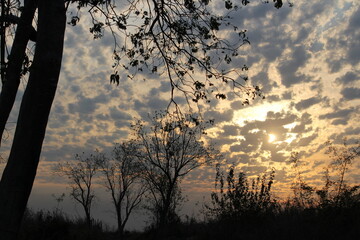 atardecer 