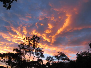 fire in the sky