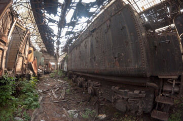 Fototapeta na wymiar Abandoned Red Star Train Graveyard in Budapest, Urbex Hungary