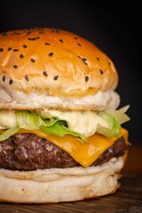 Hamburguer gourmet