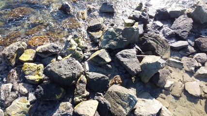 Naturaleza, Mar, Playa, Rustico.