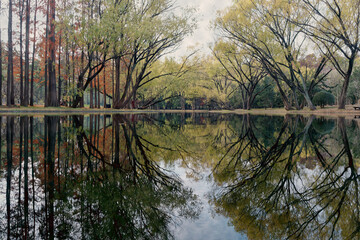 Obraz premium Beautiful autumn landscape in forest park, colorful trees with reflections in water.