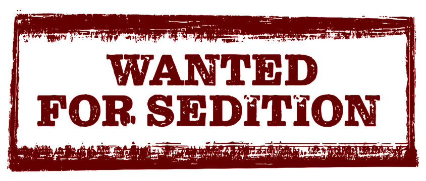 Wanted for sedition red grunge rubber stamp on white background vector graphic