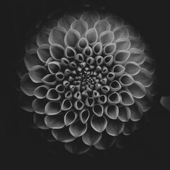 abstract fractal background