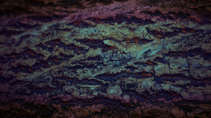 The banner of textured bark with purple and blue gradient was shot in macro style. There is a space for text.