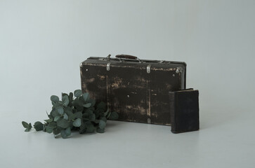 Composition from an old suitcase, a book and artificial foliage.