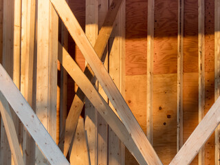 a wall of a house under construction showing studs and plywood sheathing and bracing