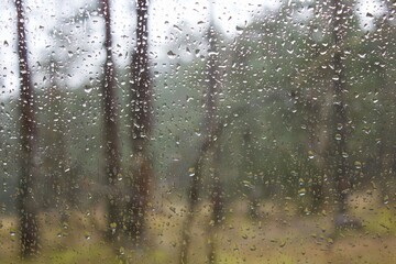 Rain Drops On Window Glass Forest Curonian Spit National Park Abstract Background 