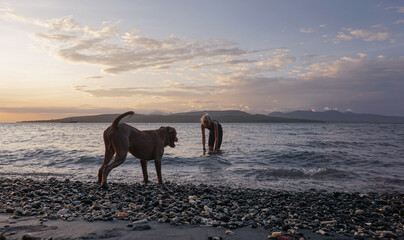 A woman playing at the beach with the dogs.