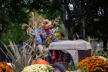 Autumn display with tractor and scarecrow  