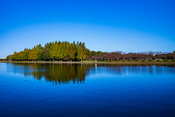 池と青空