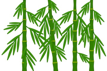 Green bamboo, the middle part of the trunk with branches and leaves without a crown for the design of textiles, wallpaper, tiles