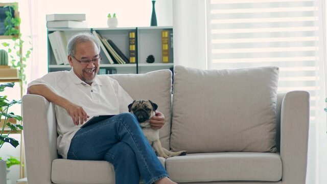 Happiness elderly asian man sitting on sofa and using computer tablet and smile with dog pug breed at home,Senior lifestyle at home concept