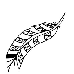Feather. Texture for fabric. Design for postcards. Hand drawn illustration.