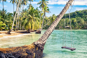 tropical island with palm trees and coconuts 