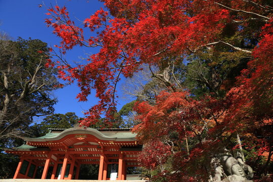 281 Best 香取神宮 Images Stock Photos Vectors Adobe Stock 281 Best 香取神宮 Images Stock Photos Vectors Adobe Stock