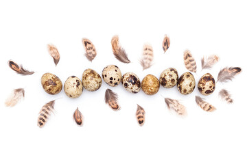 Quail eggs and bird feathers on a white background. Top view Flat lay Copy space