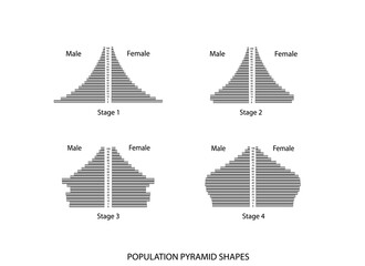 Population and Demography, Illustration Set of 4 Types of Population Pyramids Chart or Age Structure Graph Isolated on White Background.
