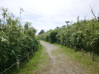森林公園