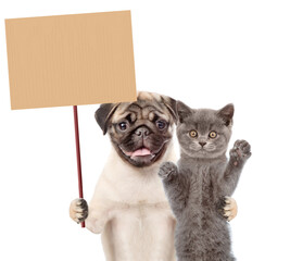 Pug puppy hugs kitten and holds blank banner mock up on wood stick. isolated on white background