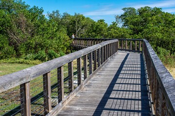 wooden bridge in the forest