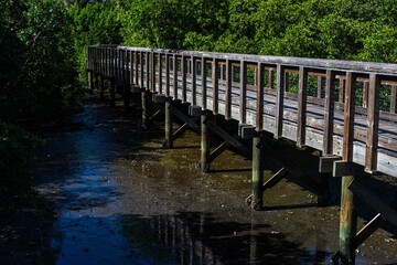 wooden bridge in the park