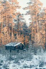 Abandoned storage shed for storing food by northern people in the taiga of Siberia.