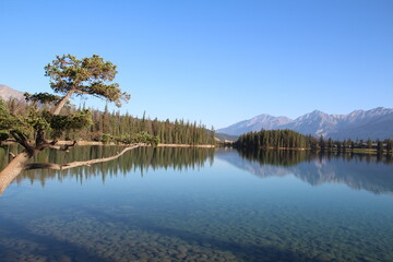 Fototapeta na wymiar October On Lac Beauvert, Jasper National Park, Alberta