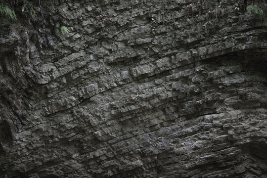 Gray rock.